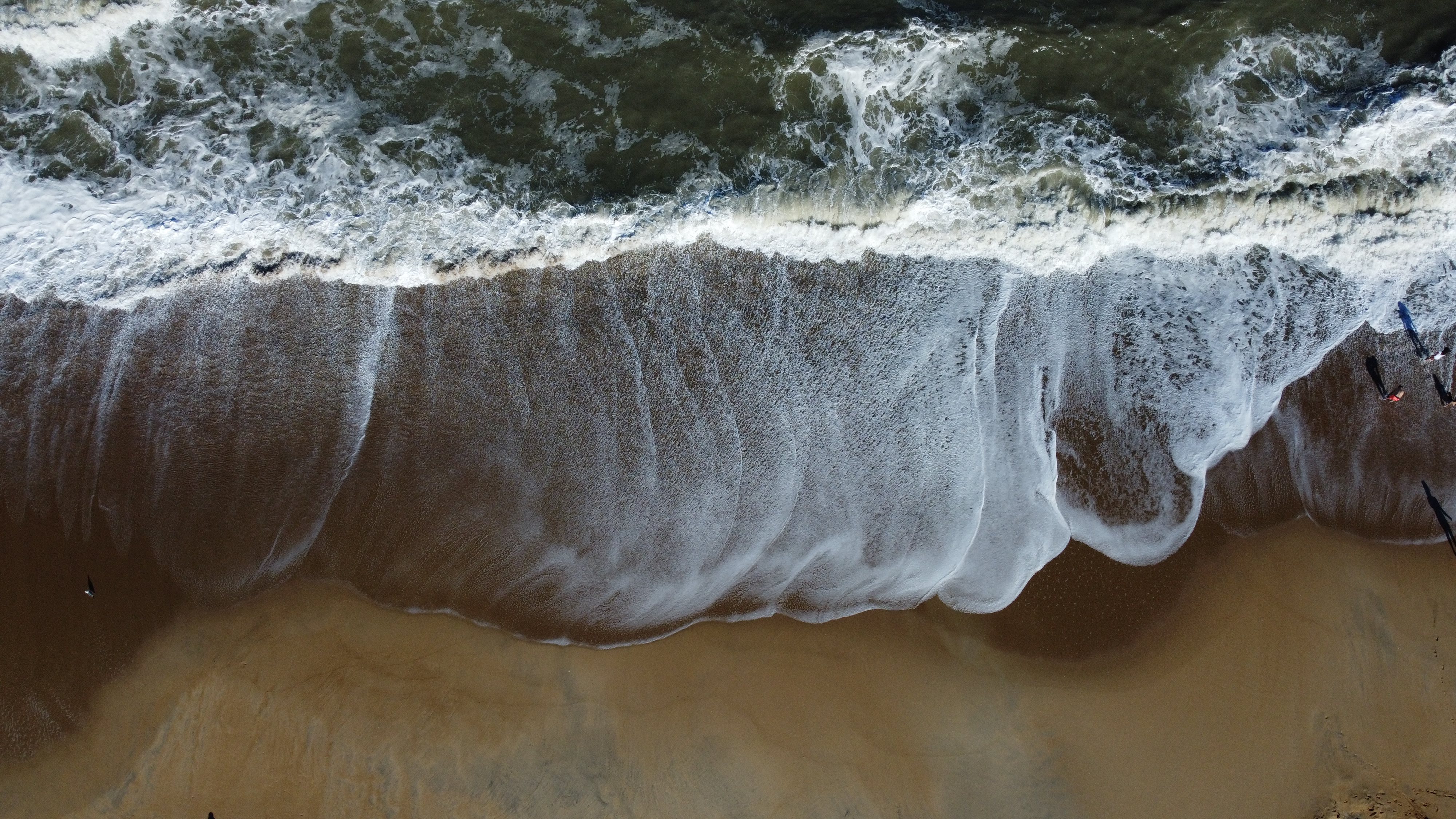 Ocean waves meeting the shoreline